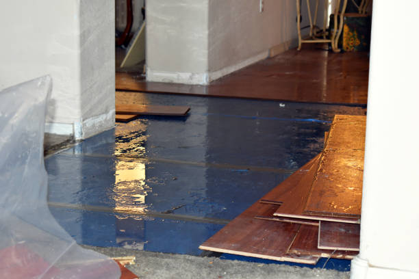 Professional Flood Damage Repair technician working in Montauk, NY